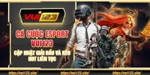 Cá cược Esport Vui123 - Cập nhật giải đấu và kèo hot liên tục