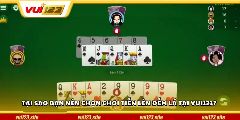 Tại sao bạn nên chọn chơi Tiến Lên Đếm Lá tại Vui123?
