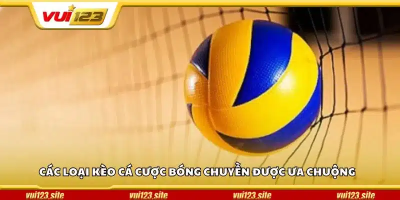 Các loại kèo cá cược bóng chuyền được ưa chuộng 