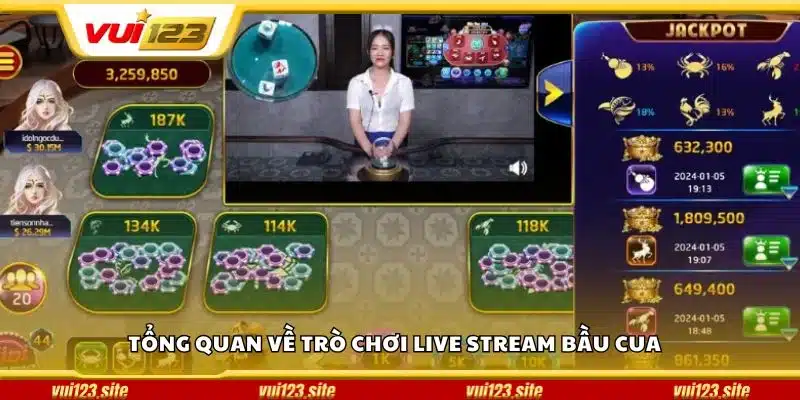 Tổng quan về trò chơi live stream bầu cua